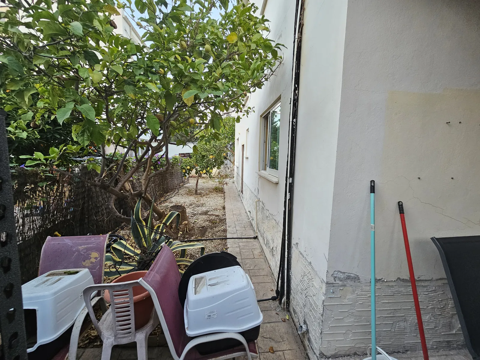4-bedroom house in Paphos № 240584 18
