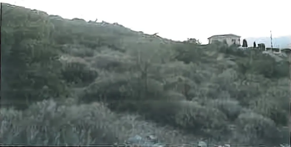 Land in Limassol № 240800 15