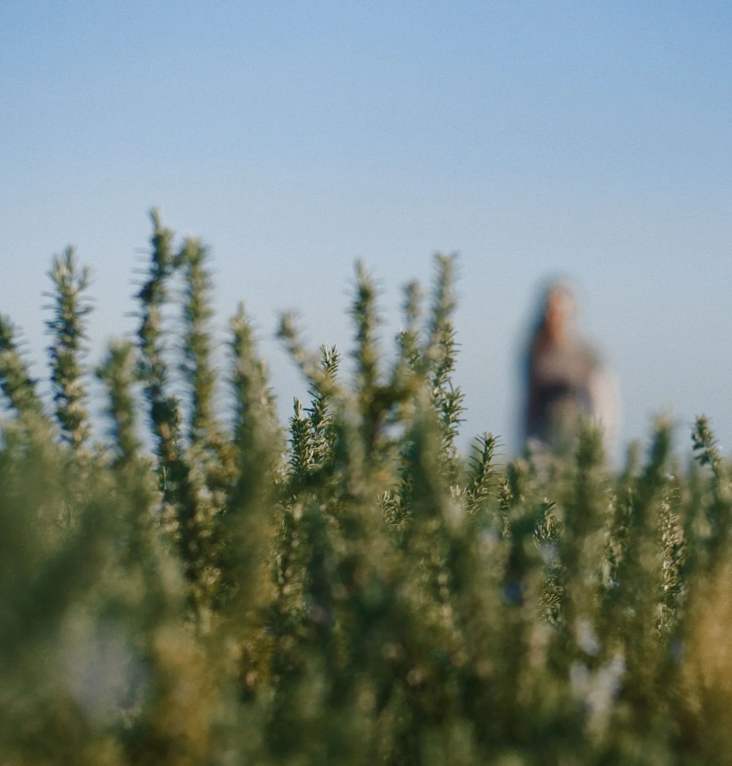 salt — new development in Asomatos, Limassol 4
